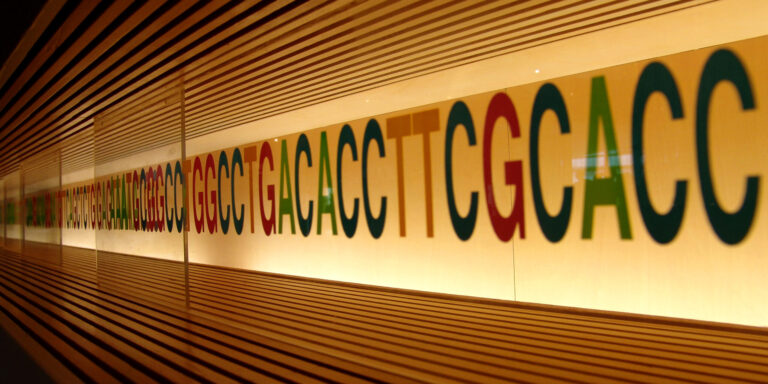 DNA